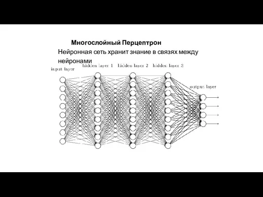 Многослойный Перцептрон Нейронная сеть хранит знание в связях между нейронами