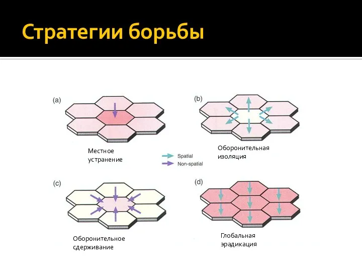 Стратегии борьбы Местное устранение Оборонительная изоляция Оборонительное сдерживание Глобальная эрадикация