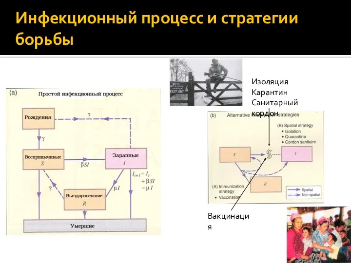 Инфекционный процесс и стратегии борьбы Вакцинация Изоляция Карантин Санитарный кордон