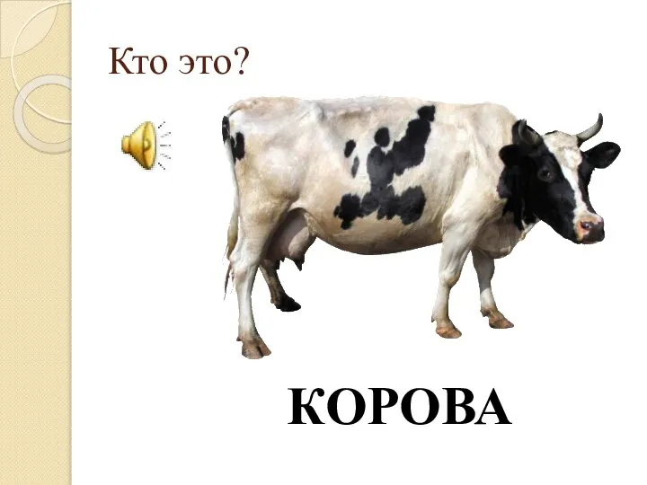 Кто это? КОРОВА