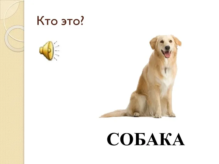 Кто это? СОБАКА