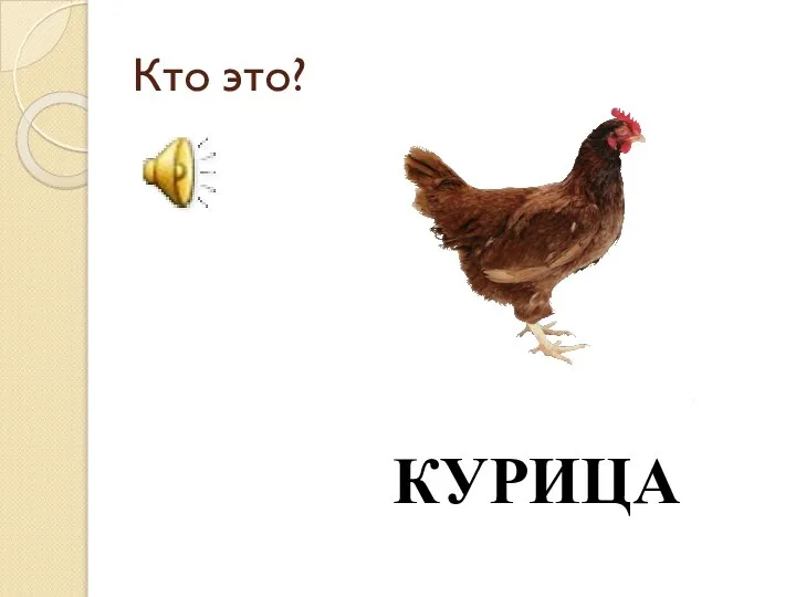 Кто это? КУРИЦА