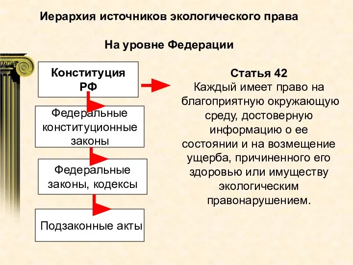 Иерархия источников экологического права На уровне Федерации Конституция РФ Статья 42 Каждый