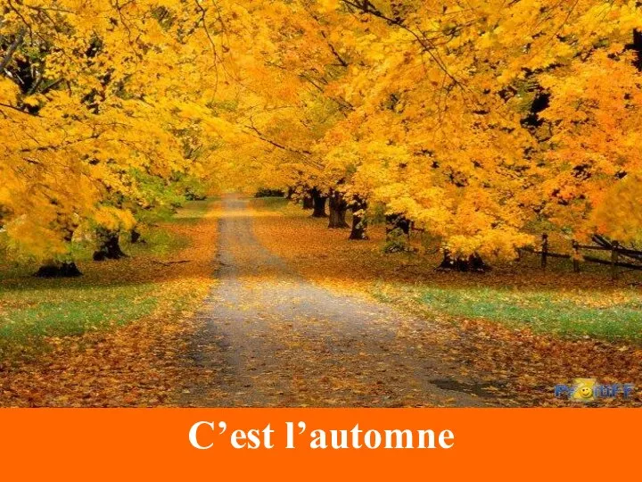 C’est l’automne