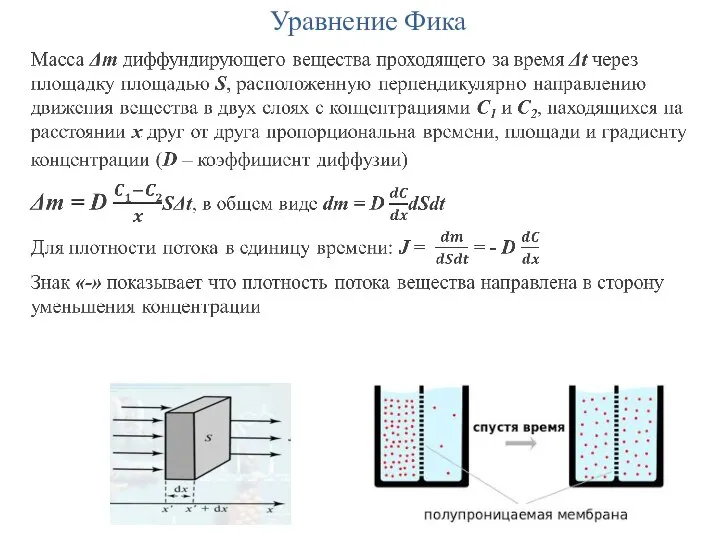 Уравнение Фика