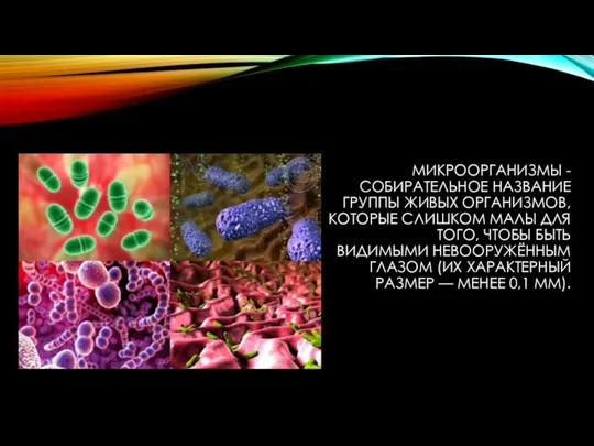 МИКРООРГАНИЗМЫ - СОБИРАТЕЛЬНОЕ НАЗВАНИЕ ГРУППЫ ЖИВЫХ ОРГАНИЗМОВ, КОТОРЫЕ СЛИШКОМ МАЛЫ ДЛЯ ТОГО,