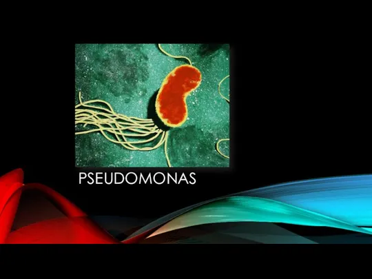 PSEUDOMONAS