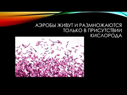 АЭРОБЫ ЖИВУТ И РАЗМНОЖАЮТСЯ ТОЛЬКО В ПРИСУТСТВИИ КИСЛОРОДА