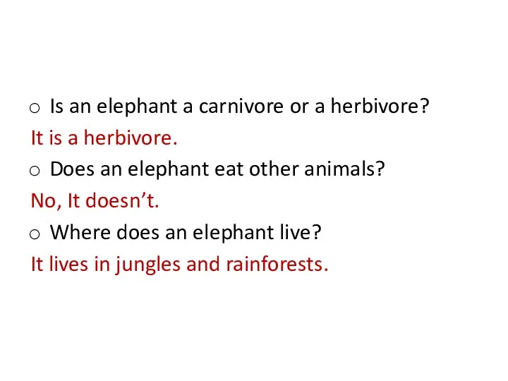 Is an elephant a carnivore or a herbivore? It is a herbivore.