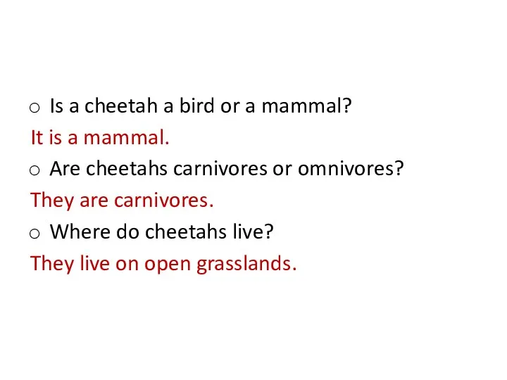 Is a cheetah a bird or a mammal? It is a mammal.