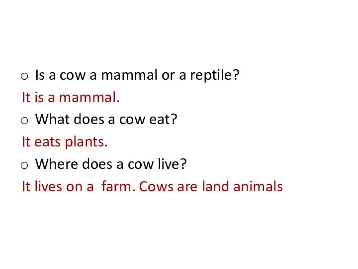 Is a cow a mammal or a reptile? It is a mammal.