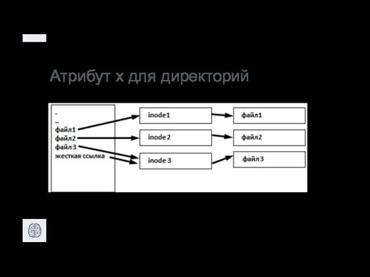 Атрибут x для директорий