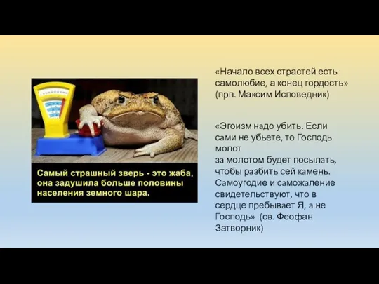 «Начало всех страстей есть самолюбие, а конец гордость» (прп. Максим Исповедник) «Эгоизм