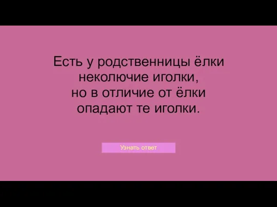 Есть у родственницы ёлки неколючие иголки, но в отличие от ёлки опадают те иголки.