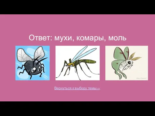 Ответ: мухи, комары, моль