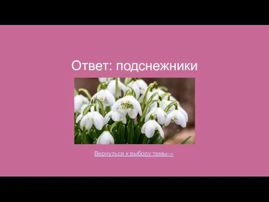 Ответ: подснежники