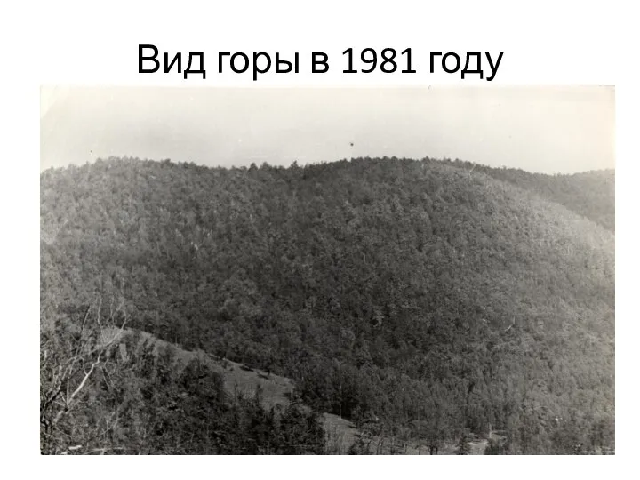 Вид горы в 1981 году