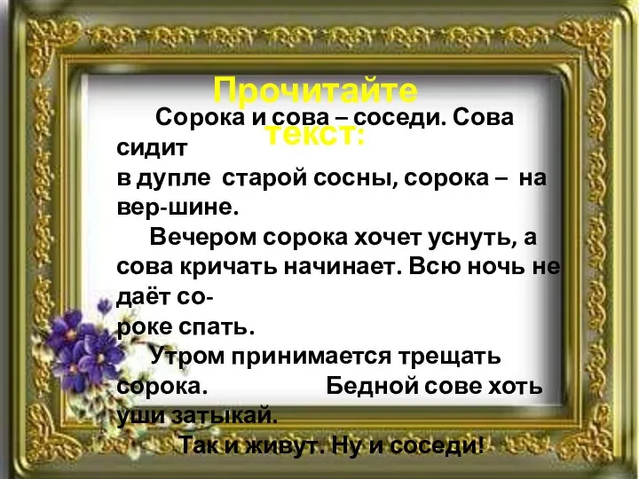 Сорока и сова – соседи. Сова сидит в дупле старой сосны, сорока