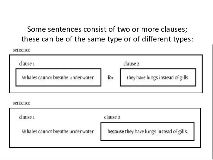 Some sentences consist of two or more clauses; these can be of