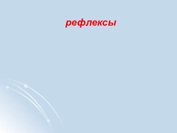 рефлексы