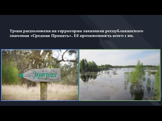 Тропа расположена на территории заказника республиканского значения «Средняя Припять». Её протяженность всего 1 км.