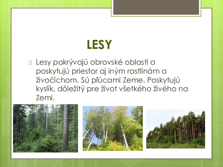 LESY Lesy pokrývajú obrovské oblasti a poskytujú priestor aj iným rastlinám a