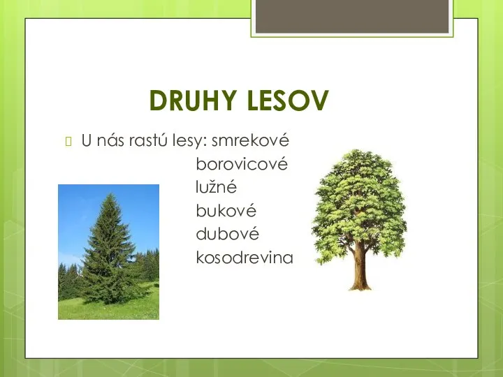 DRUHY LESOV U nás rastú lesy: smrekové borovicové lužné bukové dubové kosodrevina