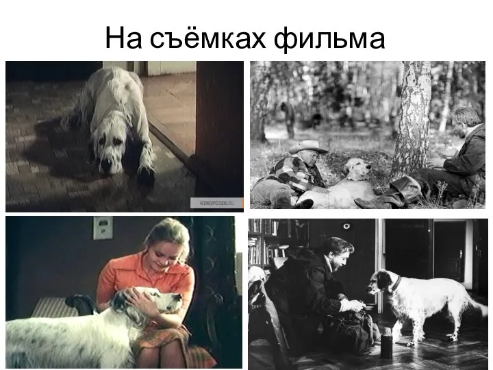 На съёмках фильма