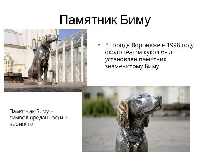 Памятник Биму В городе Воронеже в 1998 году около театра кукол был