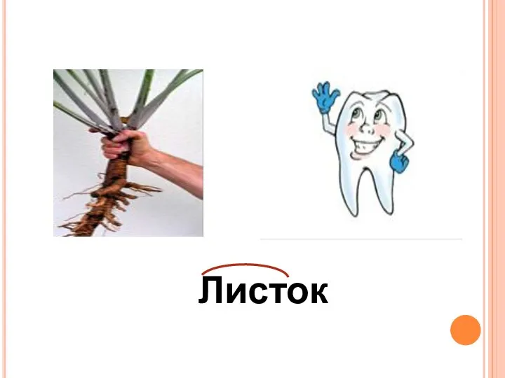 Листок