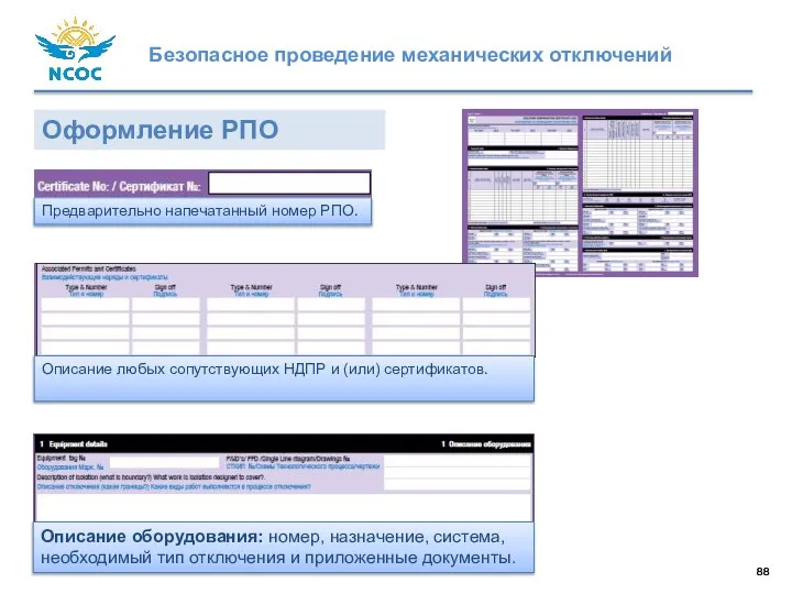 Оформление РПО Предварительно напечатанный номер РПО. Описание любых сопутствующих НДПР и (или)