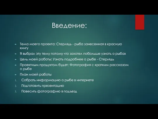 Введение: Тема моего проекта: Стерлядь - рыба занесенная в красную книгу Я