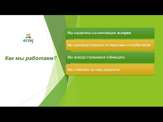 Как мы работаем? Мы нацелены на инновации в науке Мы руководствуемся интересами