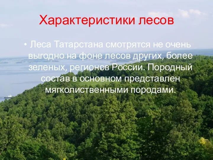 Характеристики лесов Леса Татарстана смотрятся не очень выгодно на фоне лесов других,