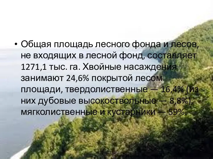 Общая площадь лесного фонда и лесов, не входящих в лесной фонд, составляет