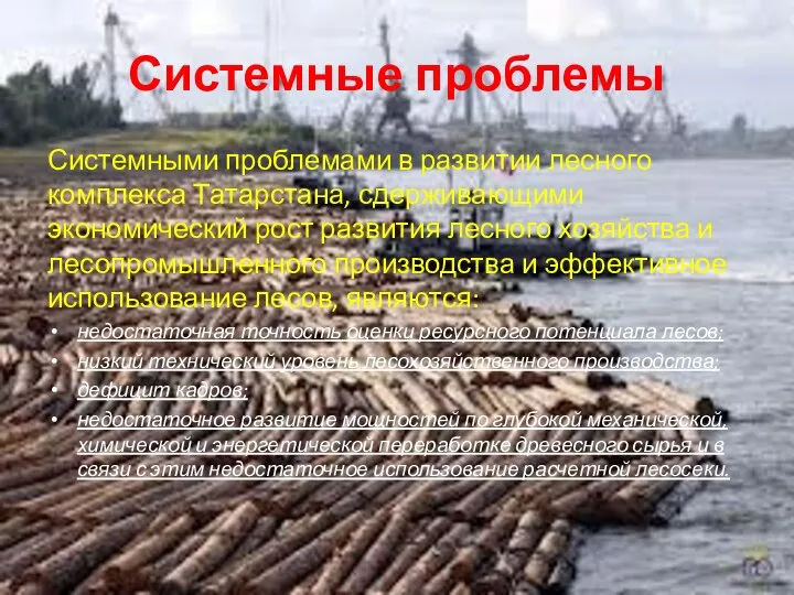 Системные проблемы Системными проблемами в развитии лесного комплекса Татарстана, сдерживающими экономический рост