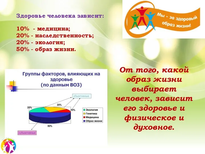 Здоровье человека зависит: 10% - медицина; 20% - наследственность; 20% - экология;