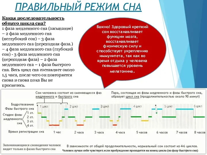 ПРАВИЛЬНЫЙ РЕЖИМ СНА Важно! Здоровый крепкий сон восстанавливает функции мозга, восстанавливает физическую