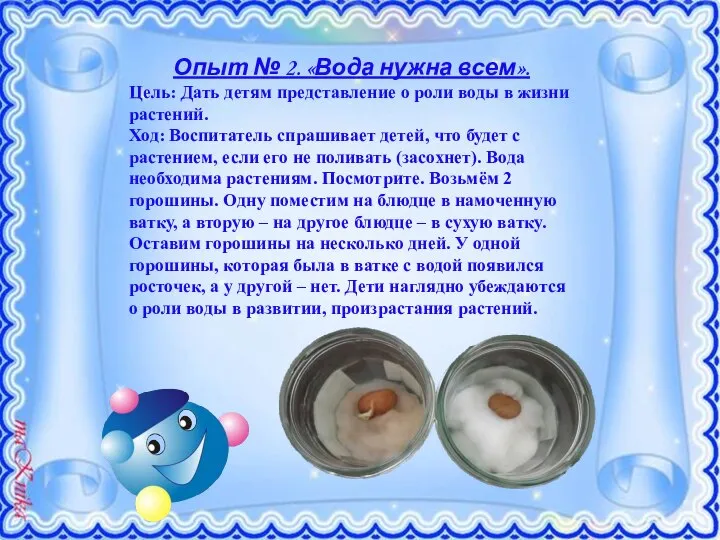 Опыт № 2. «Вода нужна всем». Цель: Дать детям представление о роли