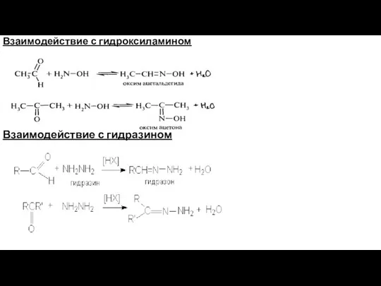 Взаимодействие с гидроксиламином Взаимодействие с гидразином