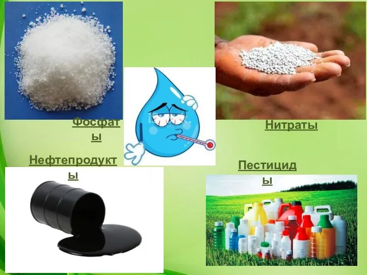 Фосфаты Нитраты Пестициды Нефтепродукты