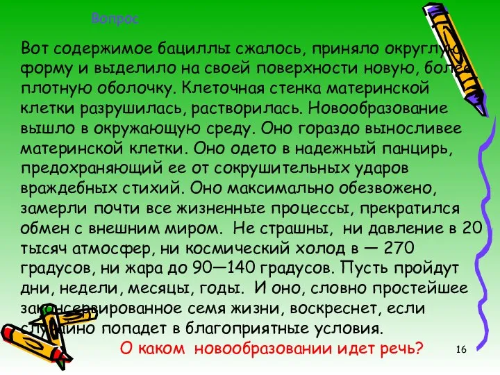 Вот содержимое бациллы сжалось, приняло округлую форму и выделило на своей поверхности