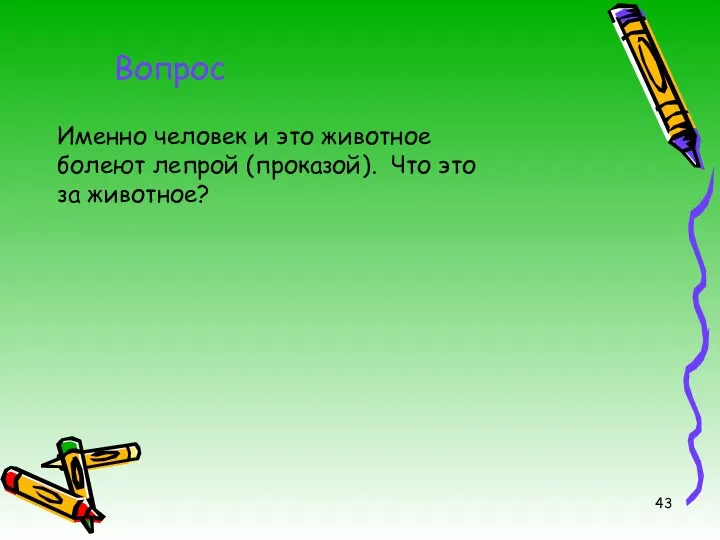 Вопрос Именно человек и это животное болеют лепрой (проказой). Что это за животное?