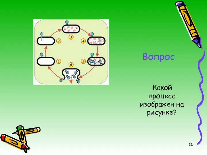 Вопрос Какой процесс изображен на рисунке?