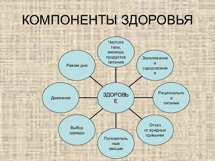 КОМПОНЕНТЫ ЗДОРОВЬЯ