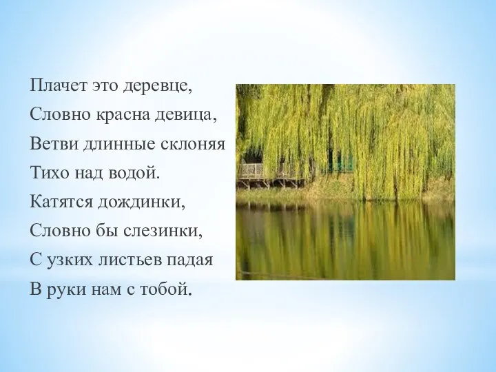 Плачет это деревце, Словно красна девица, Ветви длинные склоняя Тихо над водой.