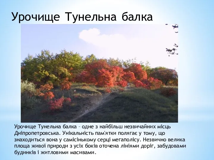 Урочище Тунельна балка Урочище Тунельна балка – одне з найбільш незвичайних місць