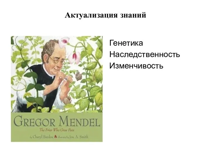 Актуализация знаний Генетика Наследственность Изменчивость