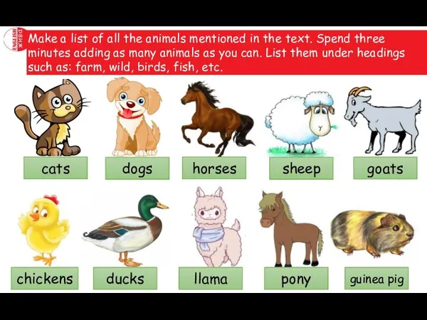 Make a list of all the animals mentioned in the text. Spend