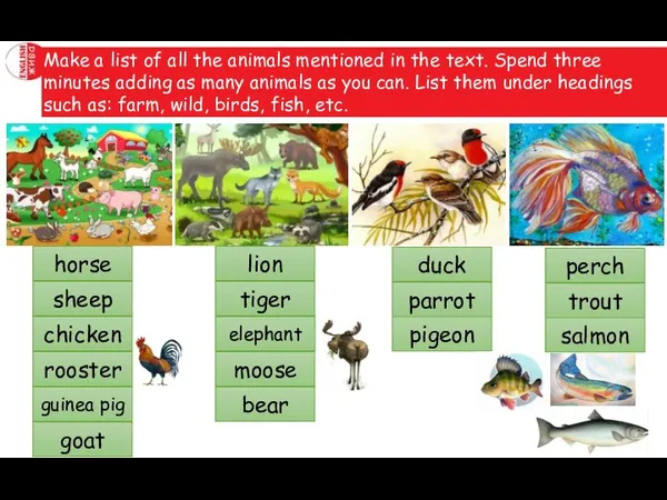 Make a list of all the animals mentioned in the text. Spend